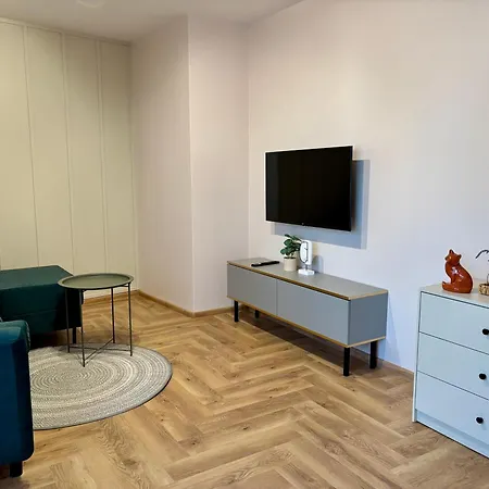 Duży I Komfortowy Przy Centrum *