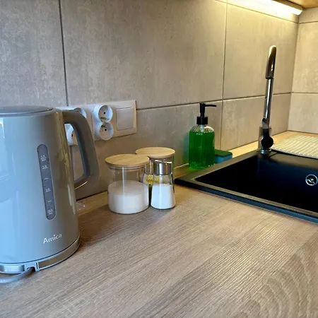 Duzy I Komfortowy Przy Centrum Apartment *