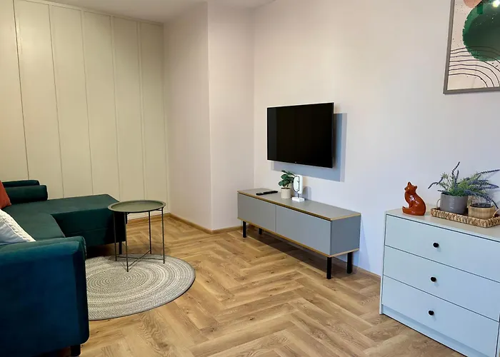 Duzy I Komfortowy Przy Centrum *