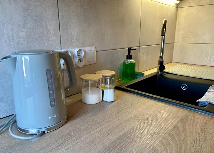 Duzy I Komfortowy Przy Centrum Appartement *