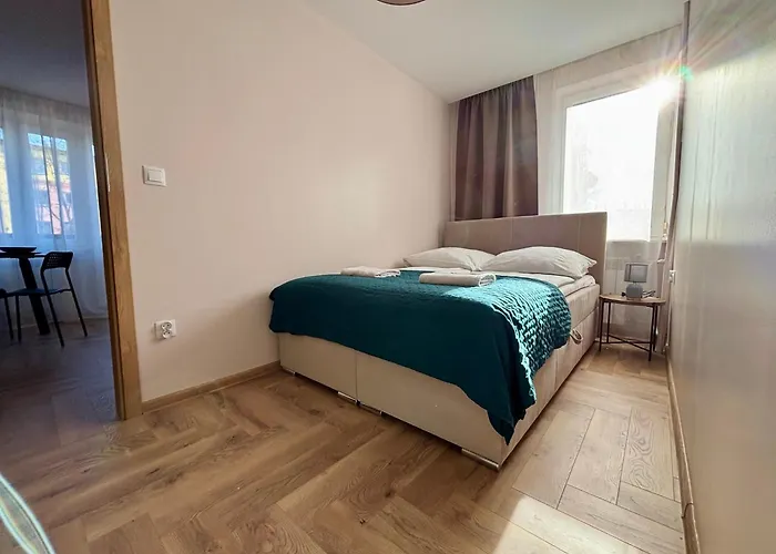 Duzy I Komfortowy Przy Centrum Appartement